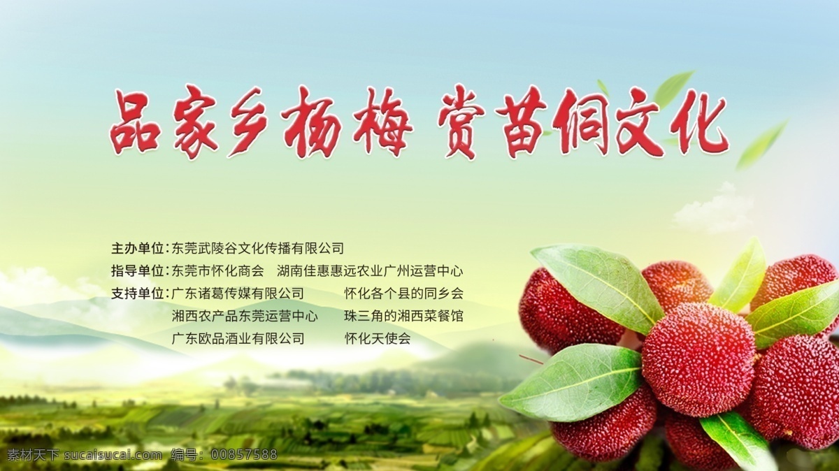 杨梅 休闲 美食 宣传 展板 海报