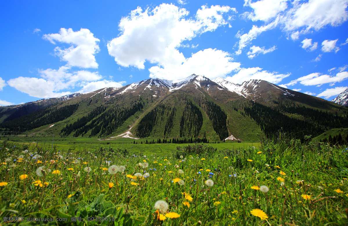 天山图片 天山牧场 天山风景 新疆风景 森林 云雾 天池 风景 公路 雨 雾 山峦 抽象 山路 雪山 大山 山水 高山流水 蓝天 白云 自然风景 山川 湖泊 溪流 草原 阳光 日出 夕阳 彩霞 天山草原 瀑布 河流 雪景 山峰 雪峰 海湾 彩虹 山 山脉 高山 树叶 云 水 花草 牧场 草 花 大美新疆 名山峻峰 自然景观