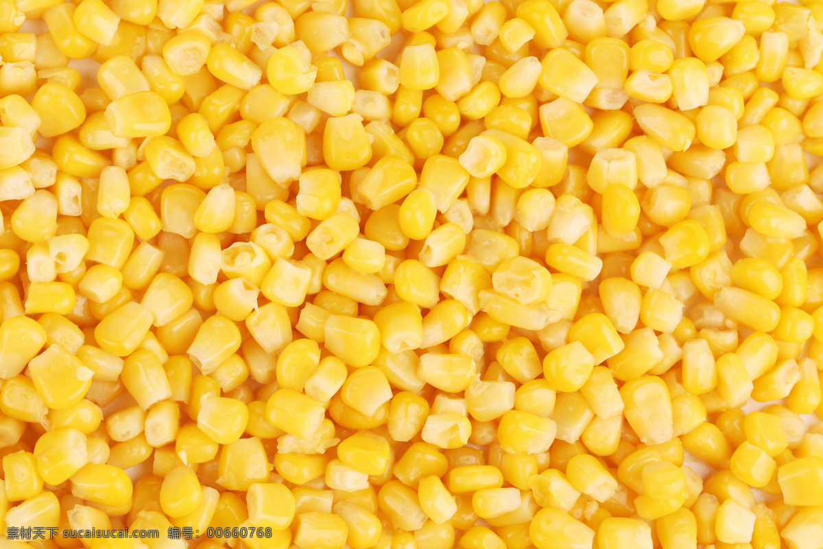玉米 包谷 食物 食品 金黄色玉米 玉米粒 粮食 农产品 食材 食物原料 餐饮美食