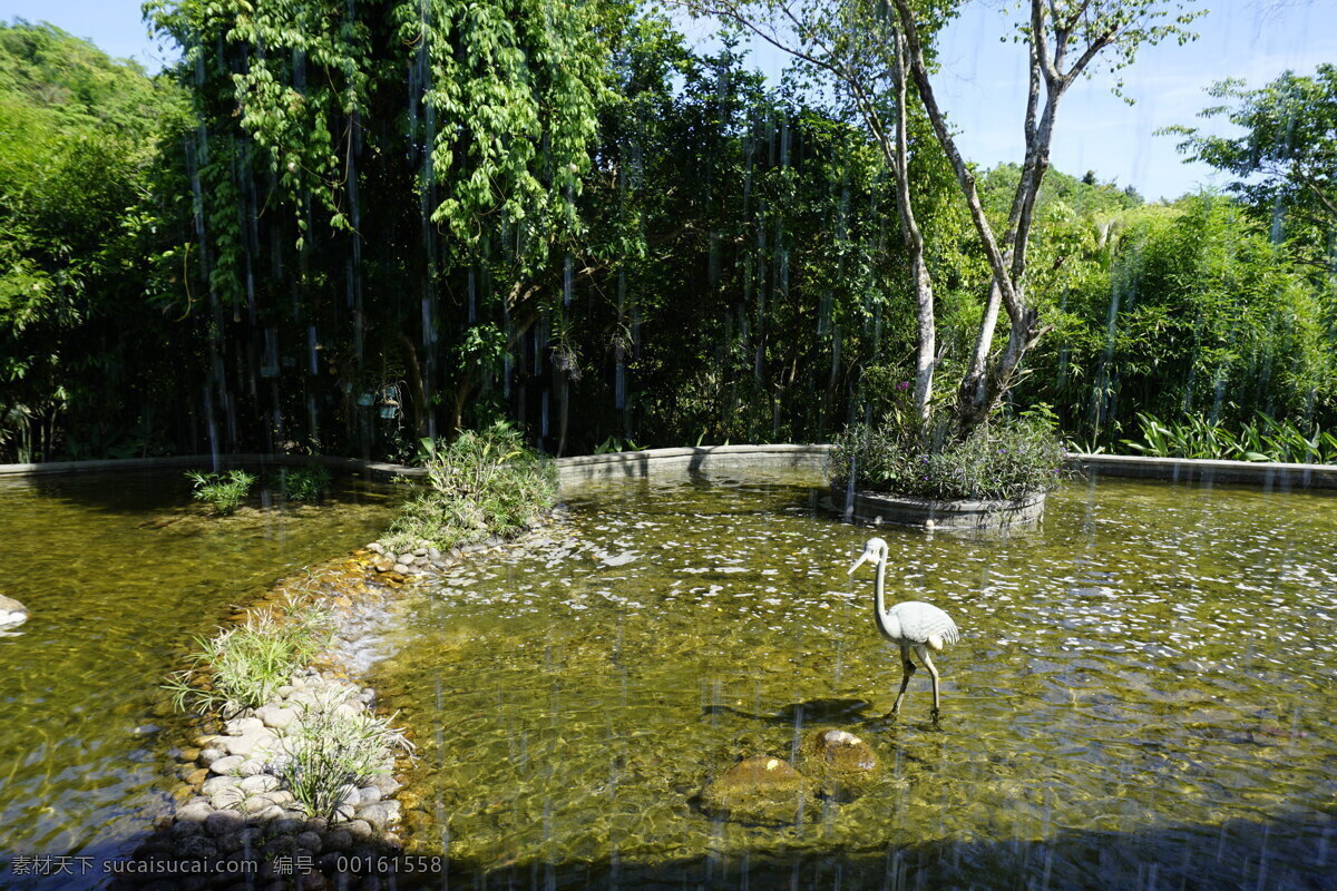 丹顶鹤 雕塑 清澈见底 绿树 春天 风景 旅游摄影 国内旅游