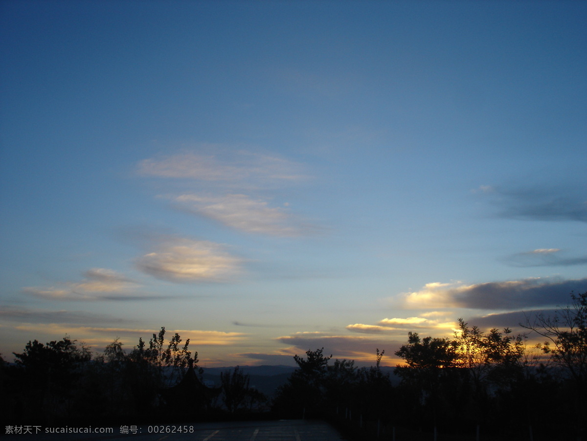 早晨的天空 天空 蓝天白云 自然风光 早晨 晨光 风景 大自然 树枝 日出 自然风景 自然景观