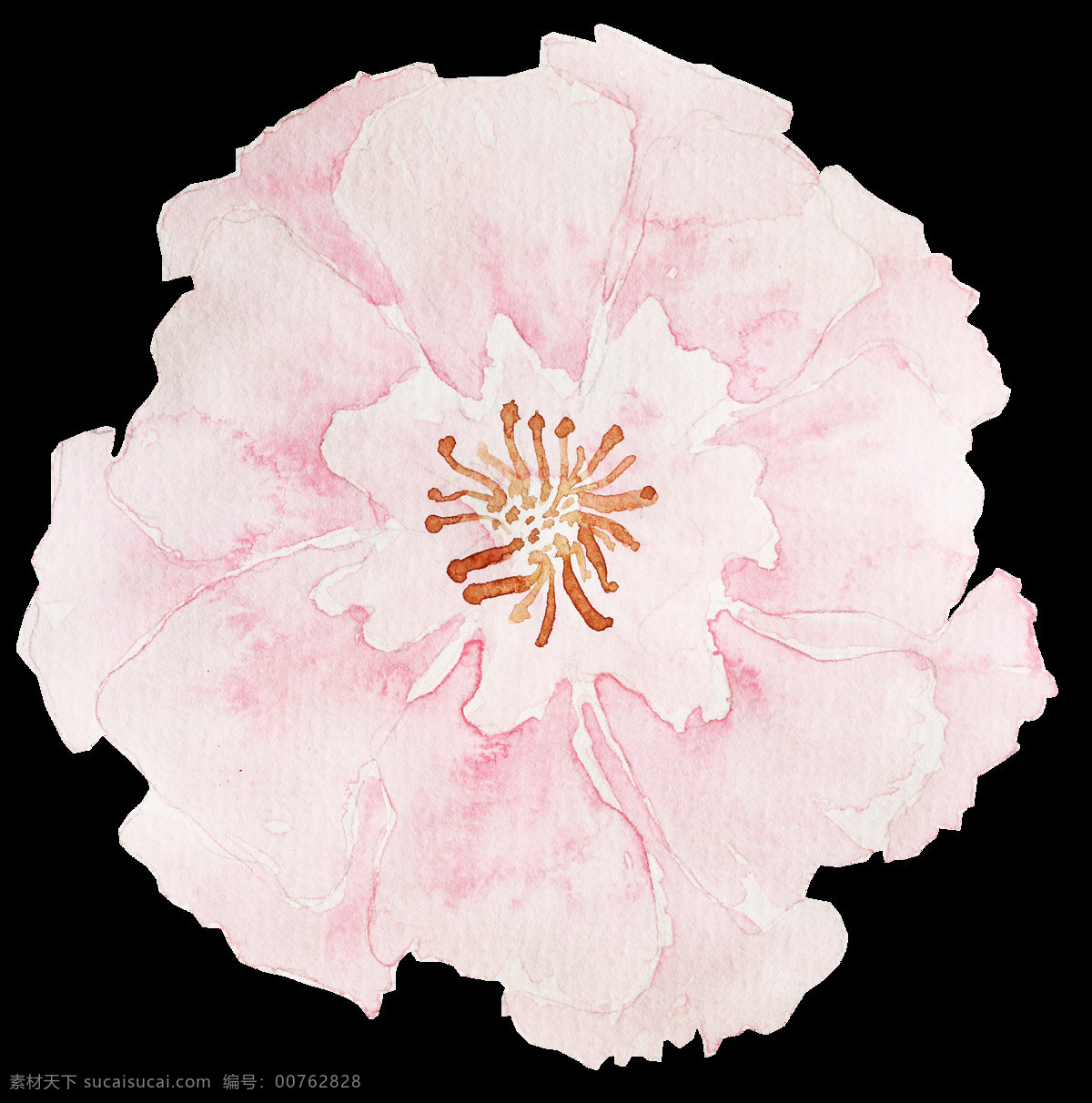 粉色 浪漫 花卉 卡通 透明 抠图专用 装饰 设计素材