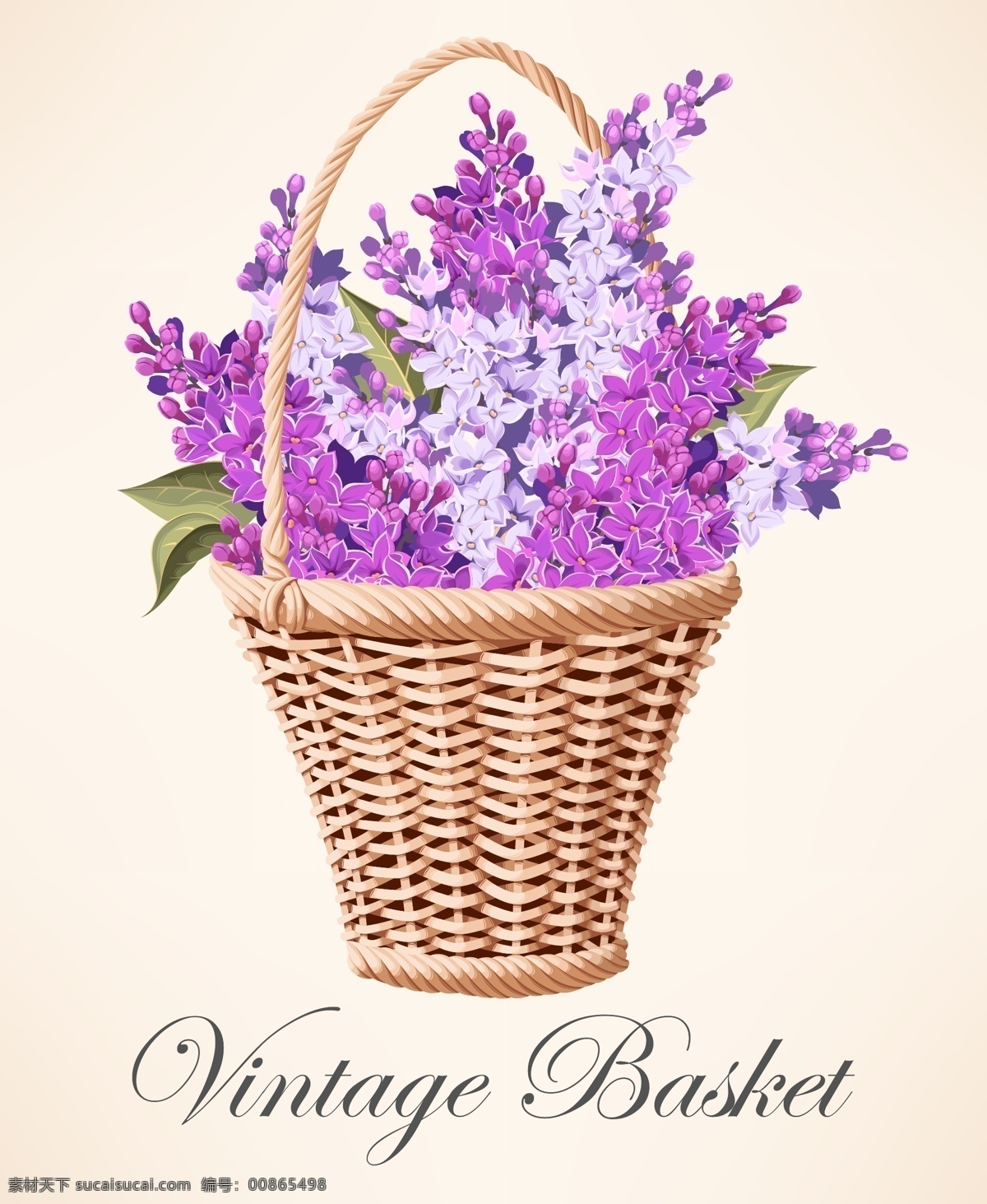 装满 紫丁香 花篮 矢量 丁香花 紫丁香的花篮 装满紫丁香 名片卡片