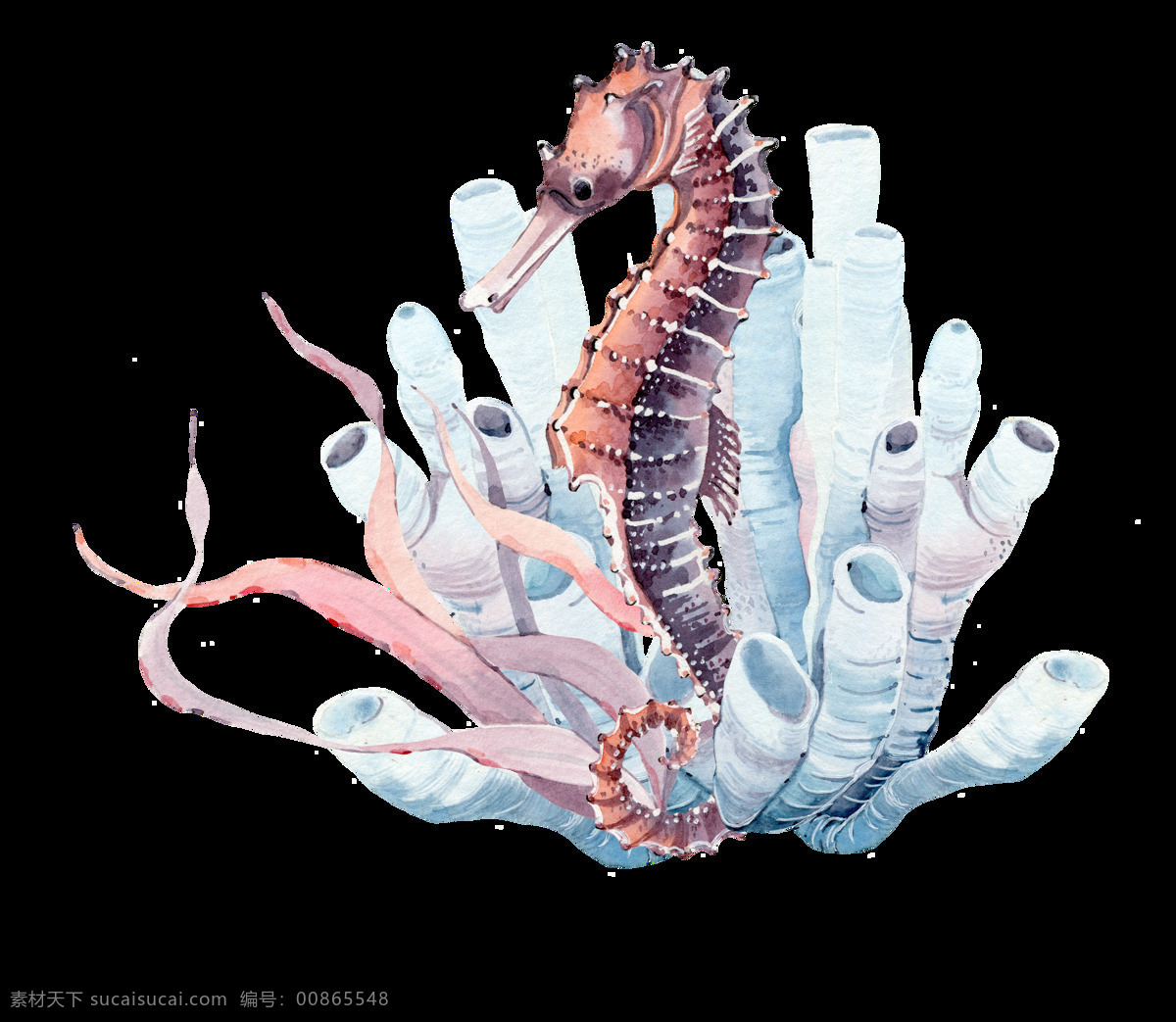 海底 海马 透明 海草 卡通 蓝色 免扣素材 生物 水彩 透明素材 装饰图案