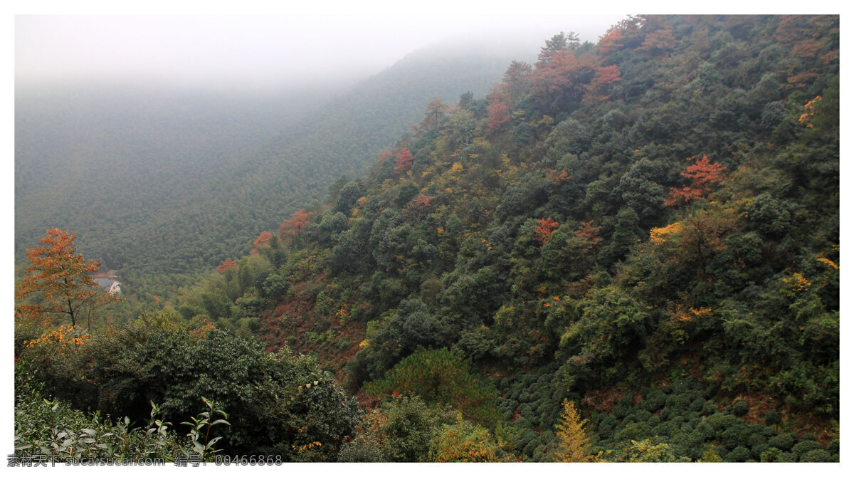 秋天的古茶山 秋天山景 深秋风景 古茶山 长兴 烟雨蒙蒙山景 旅游摄影 自然风景