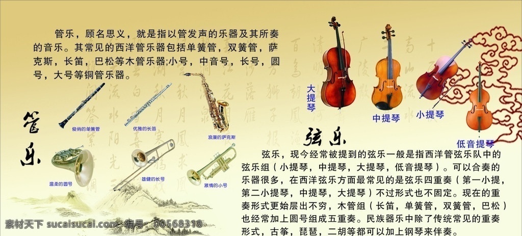 乐器 小提琴 中提琴 大提琴 低音琴 各类管乐 简介 展板模板 矢量