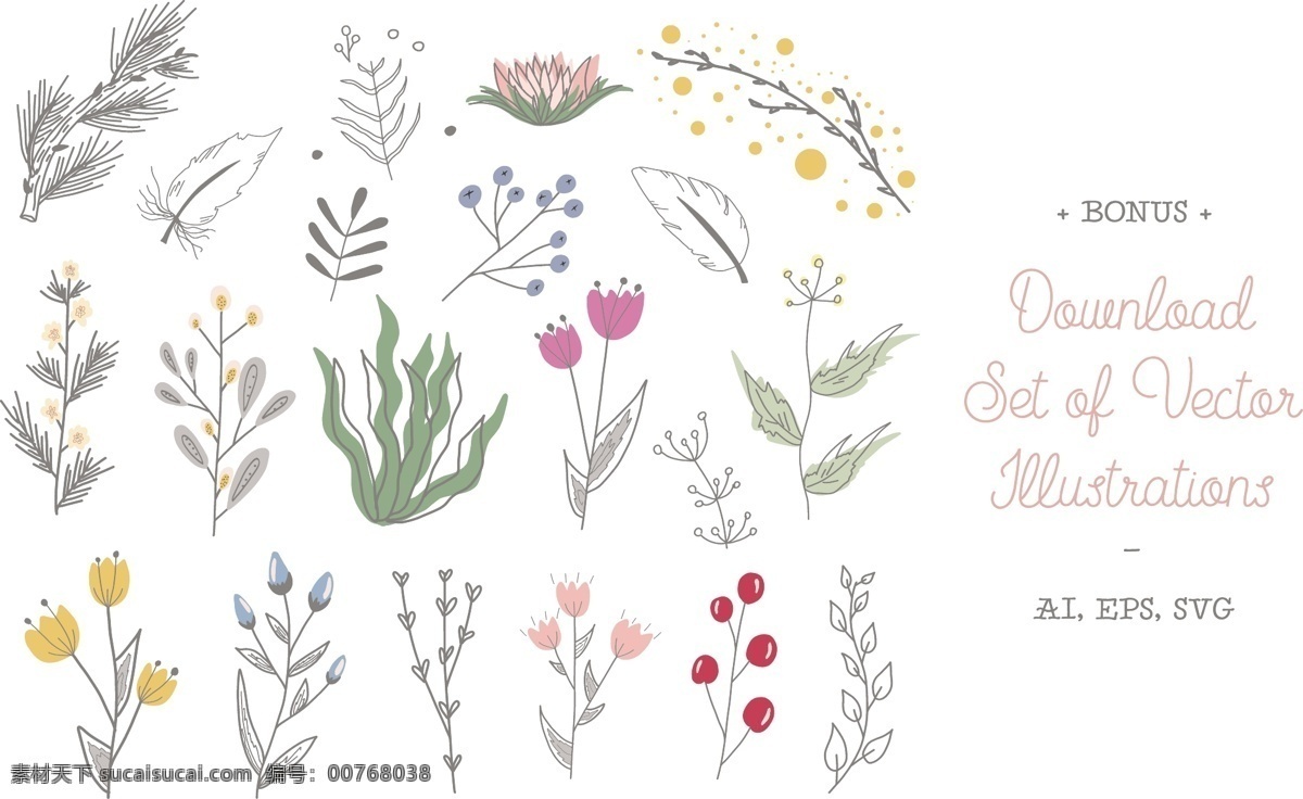 插花 花卉 图案 笔刷 花朵 floralpatternbrushesforillustrator 扁平