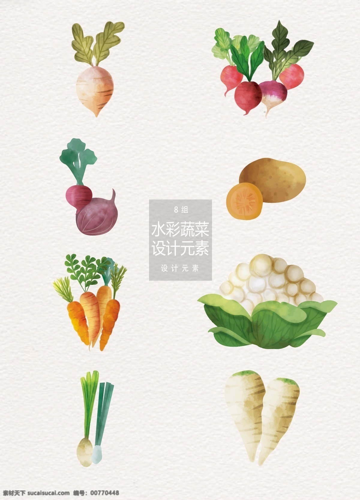 水彩 蔬菜 元素 手绘蔬菜 食物 土豆 菜花 水彩蔬菜 萝卜
