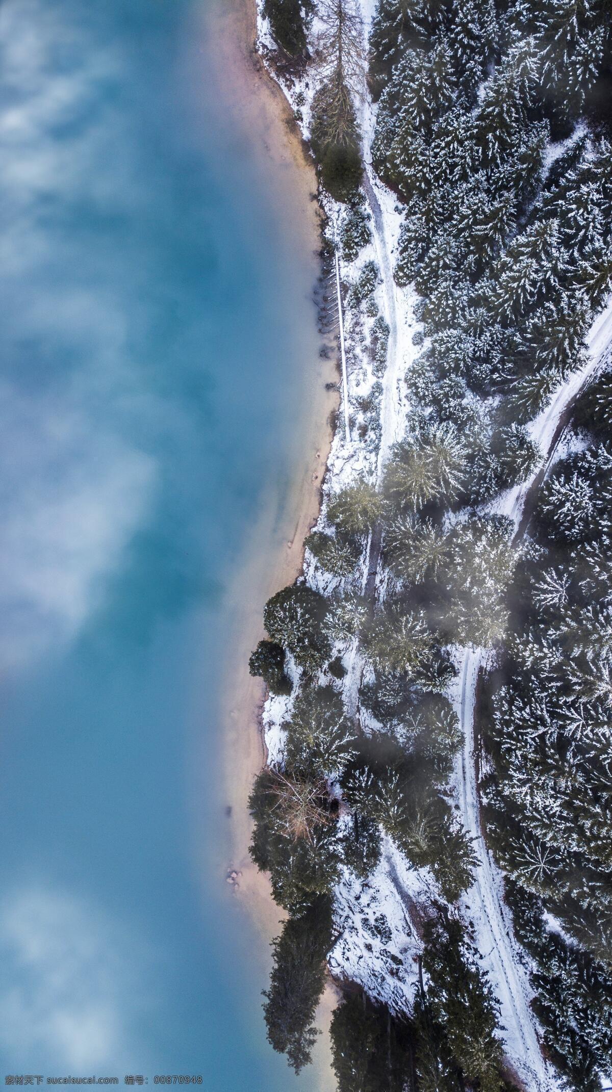 海岸 海边 大海 水 树 雪 树林 俯视拍摄 游泳素材 广告背景 风景 旅游摄影 国外旅游