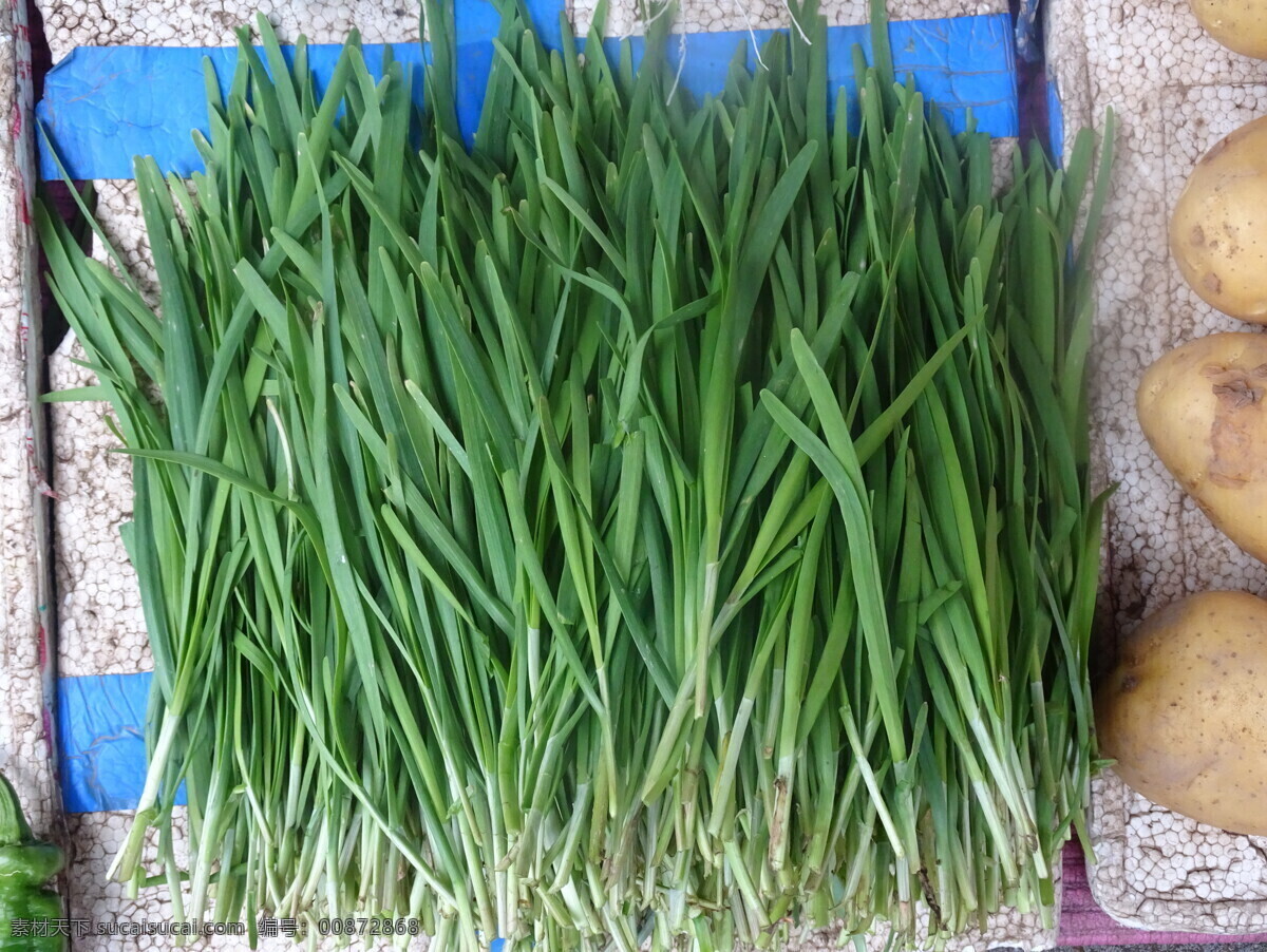 韭菜 蔬菜 新鲜 食品 绿色 农业 青菜 植物 素食 维生素 有机蔬菜 菜叶 瓜 蛋 鸡蛋 菜市场 肉 菜地 菜园 生物世界