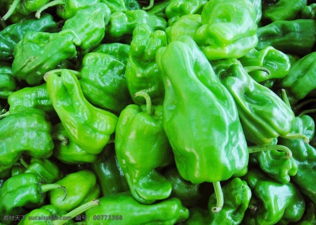 青椒 辣椒 菜椒 蔬菜 有机蔬菜 绿色蔬菜 照片 餐饮美食 食物原料