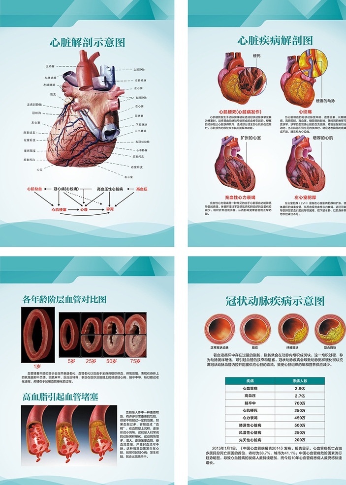 解剖图 心脏解剖图 血管解剖图 血管 血液垃圾 血管堵塞 血管疾病 心脏 心血管