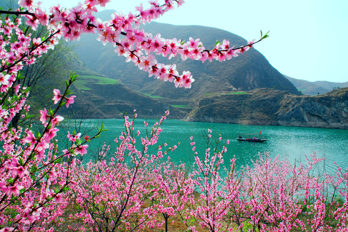 商洛 湖边 桃花 商洛湖边 商洛风光 湖泊 游船 青山绿水 国内旅游 旅游摄影