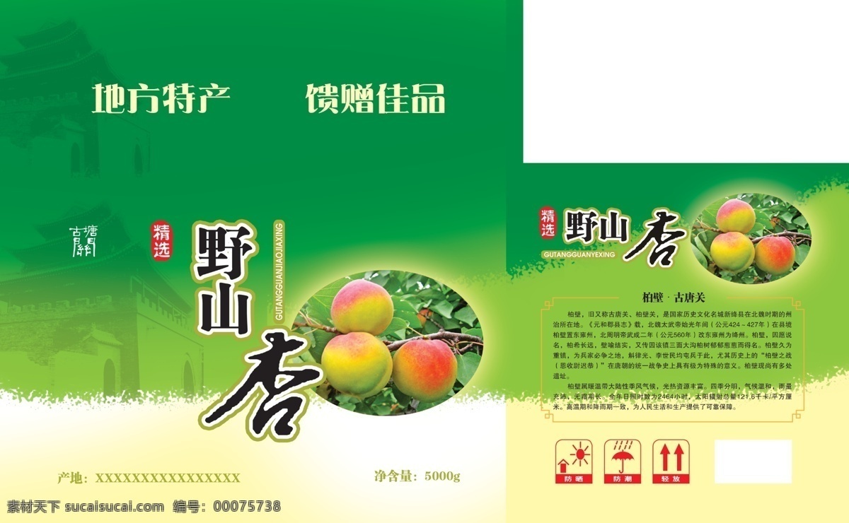 水果包装 杏 包装设计 礼品盒 杏包装 广告设计模板 源文件