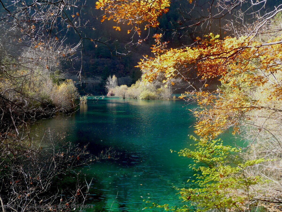 深秋的九寨沟 自然风景 旅游摄影