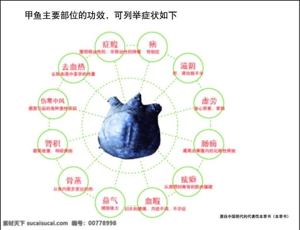 甲鱼 主要 部位 功效 营养 保健 各部位 矢量标志 生活百科 医疗保健