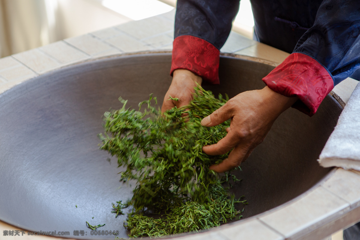 新鲜 绿茶 制 茶 炒 过程 制茶 炒茶过程 茶艺 茶道 茶文化 文化艺术 传统文化