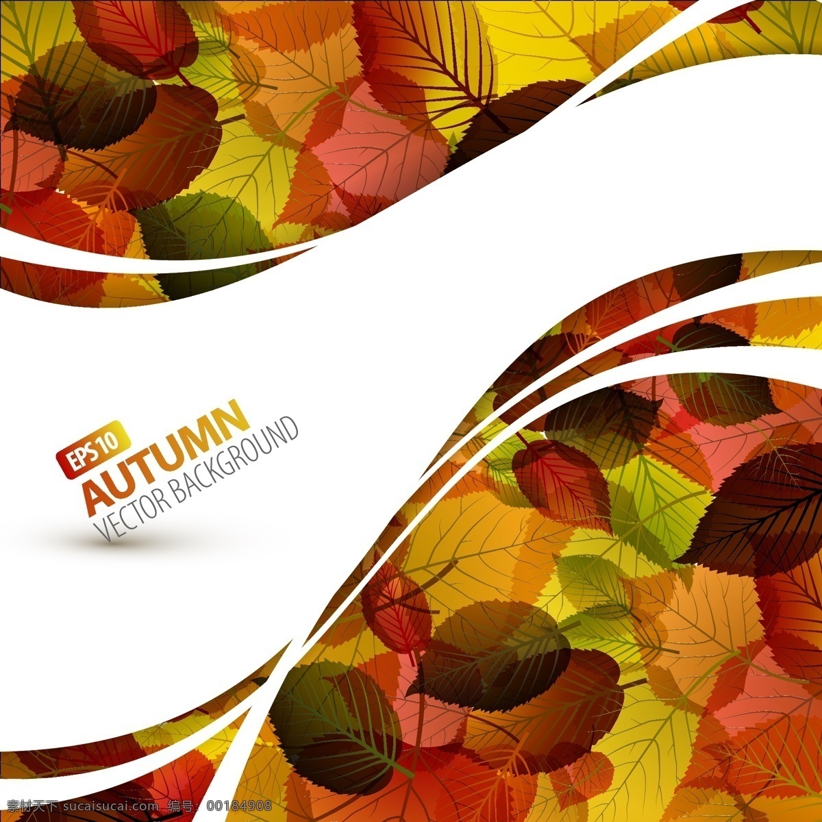 秋天 美丽 叶子 主题 背景 矢量 免费 美丽的叶子 秋天背景 黄色的叶子 矢量图