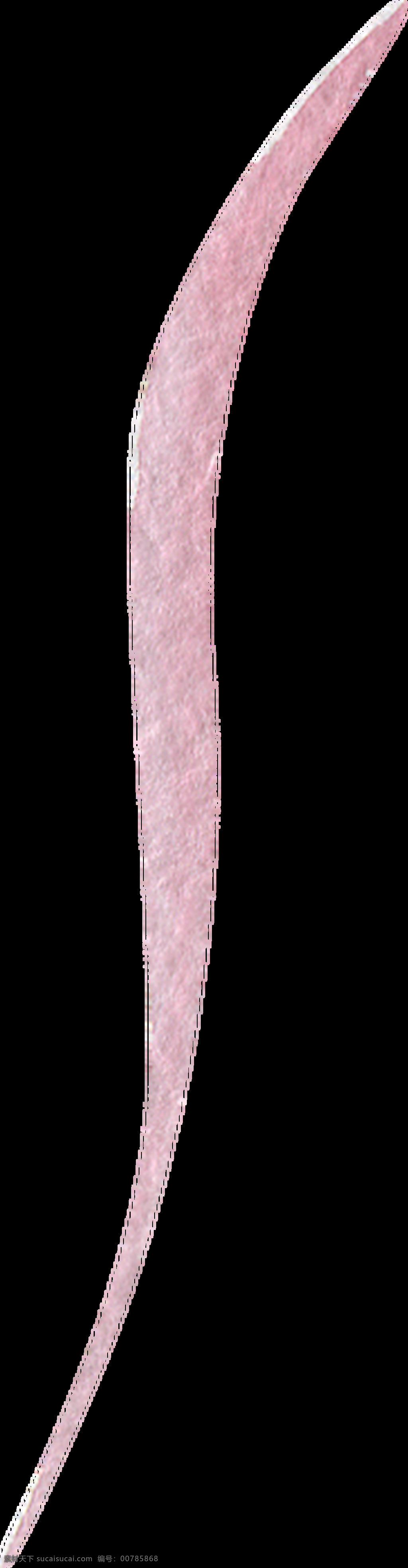 粉色 长条 柳叶 卡通 水彩 透明 抠图专用 装饰 设计素材
