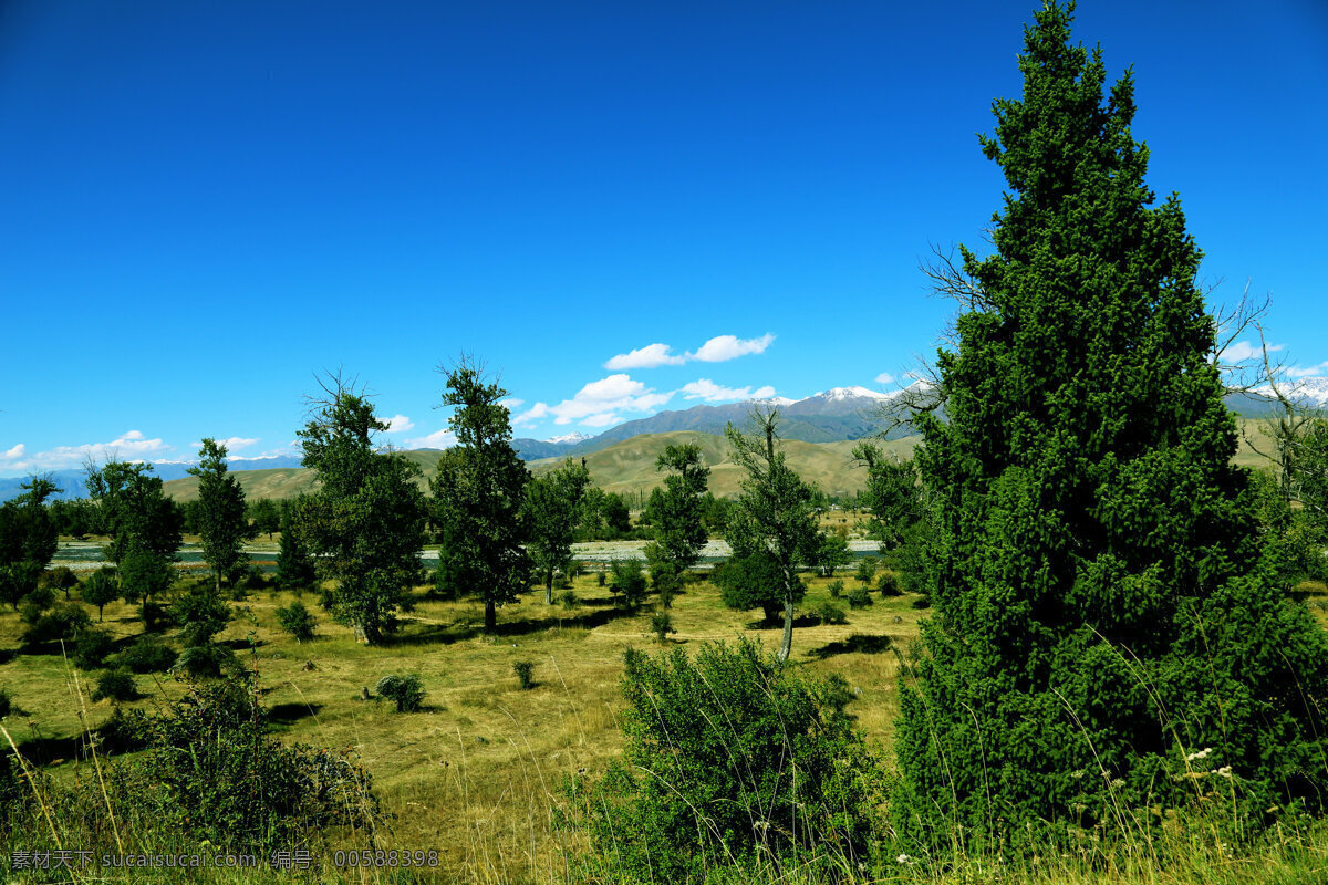 山上 果园 景色 天空 蓝天白云 度假 风景 美景 自然景观 自然风景 旅游摄影 旅游 山水风景 风景图片