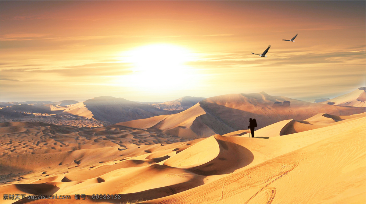 大漠 沙漠 沙场 沙尘 沙尘暴 沙 沙颗粒 沙粒 沙砾 沙丘 黄沙 沙堆 沙滩 沙子 干旱 骆驼 一望无垠 沙漠摄影 自然风景 自然景观