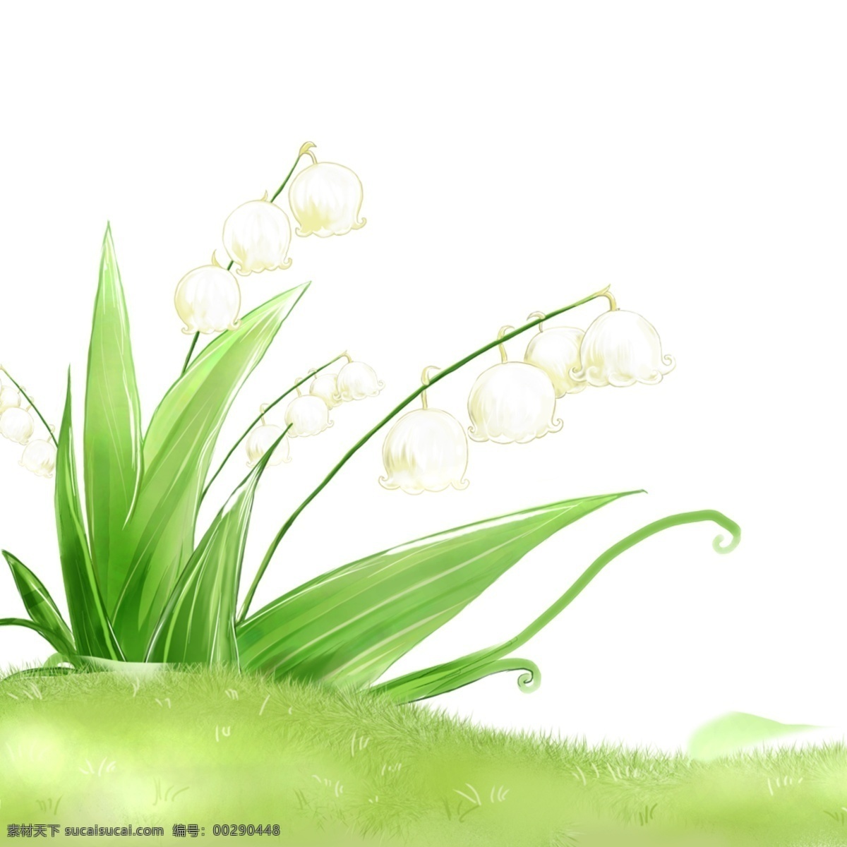 草地花朵 草地 草坪 绿色 小草 花朵 白色