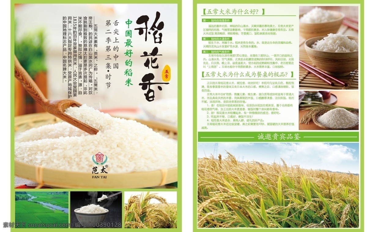 大米单页 大米 单页 大米宣传 稻子宣传 大米素材 米素材 米单页 dm宣传单