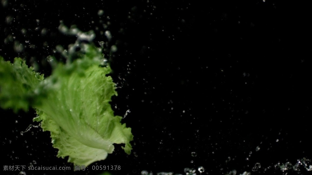 蔬菜 系列 高清 实拍 视频 蔬菜系列 生菜 水滴 抛起