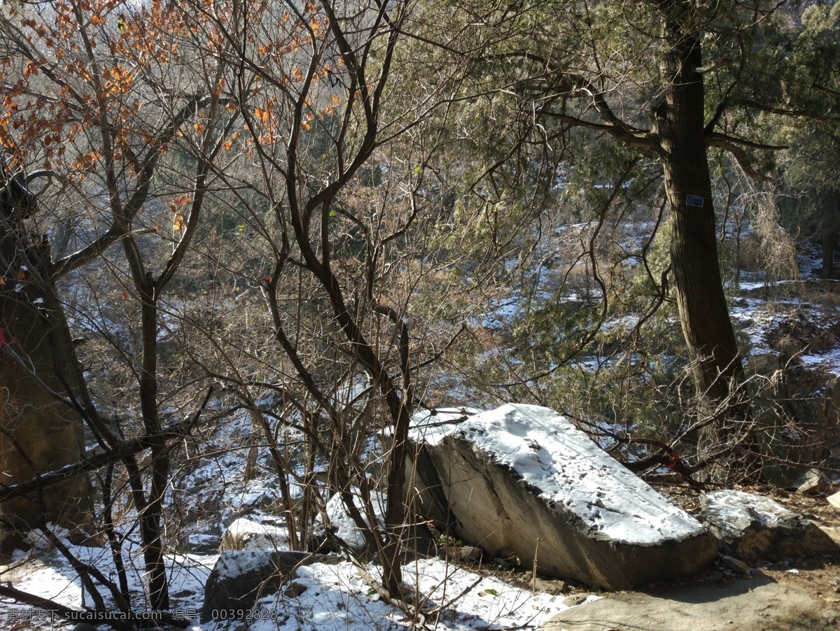 泰山风景 泰山 泰山十八盘 泰山美景 五岳泰山 泰山远瞭 旅游 国内旅游 泰山雪景 白雪泰山 泰山树木 树木 泰山植被 泰山阳光 光线 泰山日出 泰山建筑 游客 自然景观 自然风景