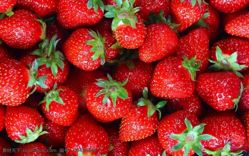 新鲜草莓图片 草莓 水果 新鲜水果 新鲜草莓 红色草莓 牛奶草莓 草莓特写 生物世界