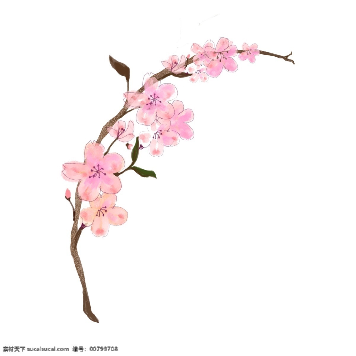 粉色 花朵 卡通 插画 桃花的花朵 卡通插画 花朵插画 鲜花插画 花束插画 植物花朵 粉色的花朵