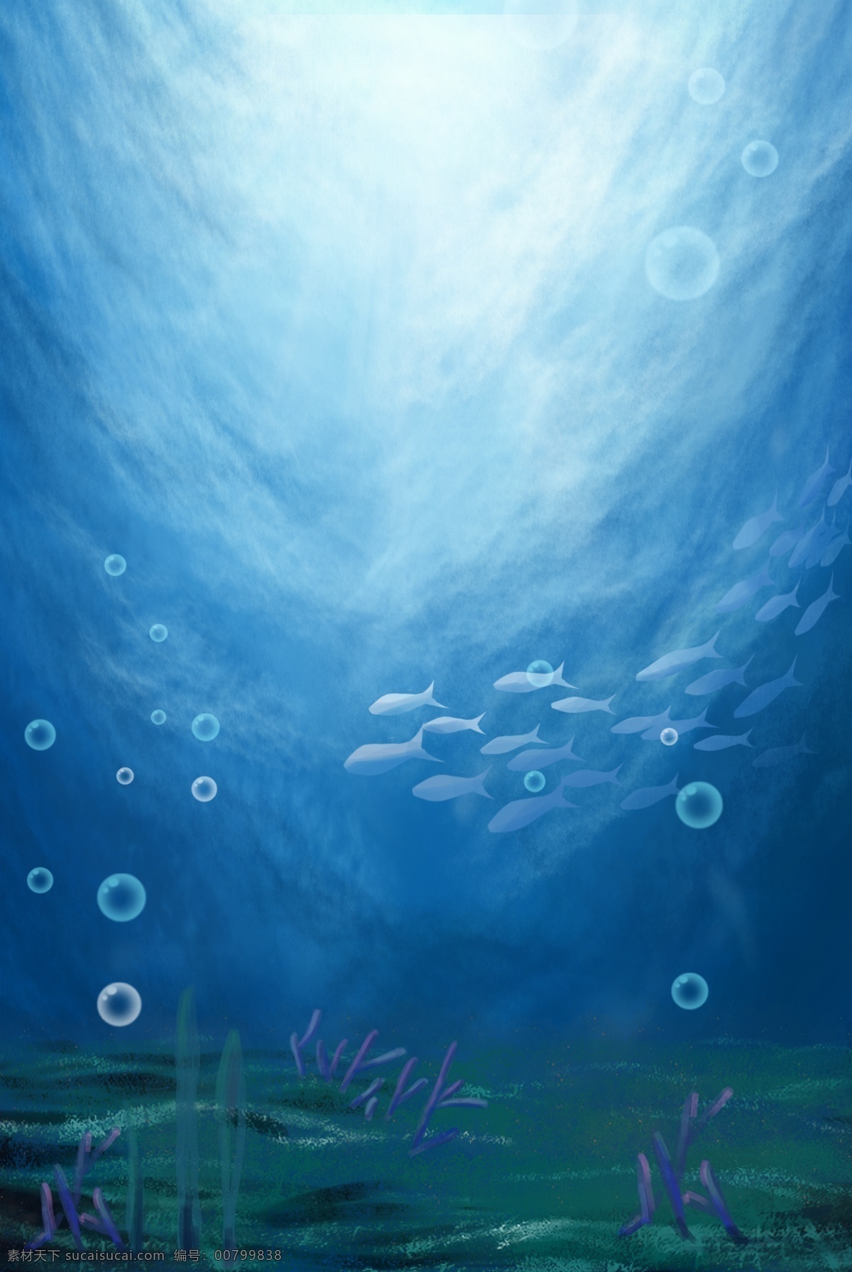 海洋世界 蓝色 夏天 分层 banner 卡通 手绘 海底 鱼 海草 珊瑚 气泡 创意合成
