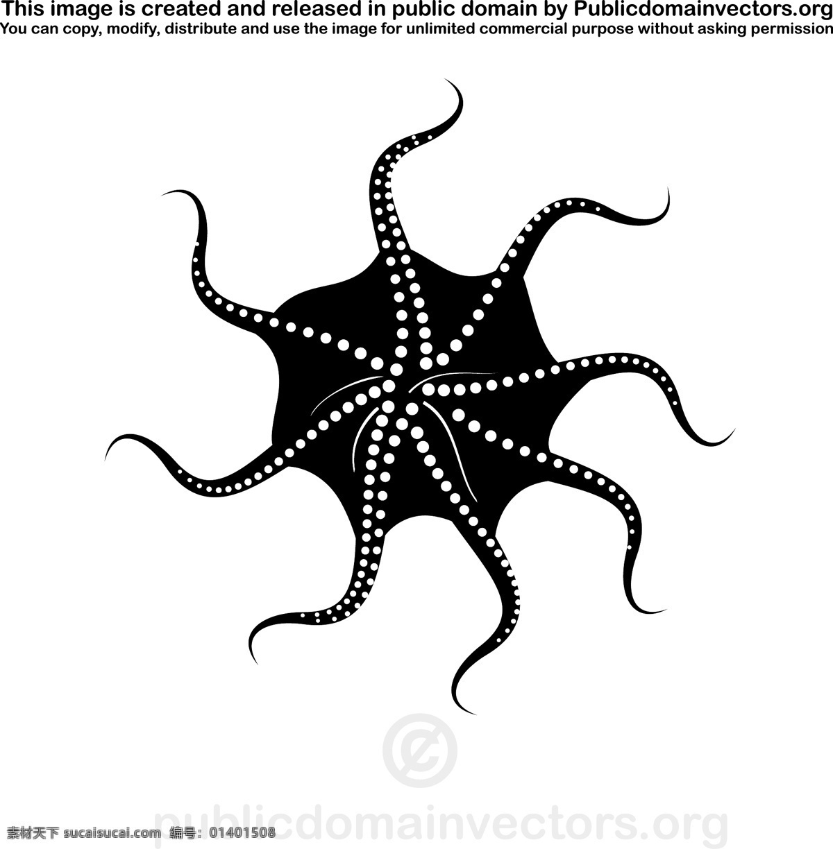 章鱼 矢量 图像 动物 海洋 黑 珊瑚 鱼 水 生物世界