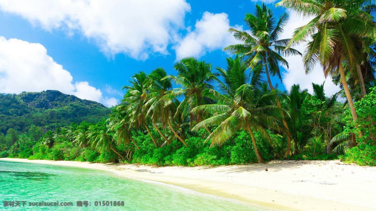 海边椰树 热带 海岸 大海 沙滩 海浪 浪花 椰树 蓝天 白云 自然景观 自然风景