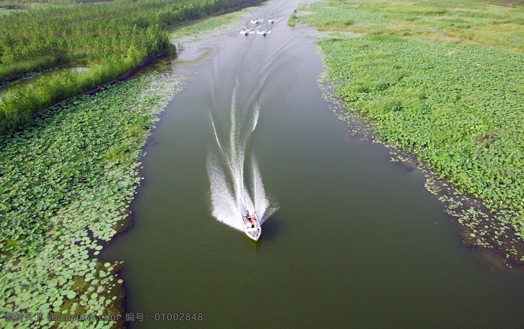 湖泊美景 航拍湖泊美景 冲锋舟 船只 湖泊 湖水 湖面 水面 水草 荷花 荷叶 绿色 生机勃勃 一望无际 碧水 码头 自然风景 自然景观