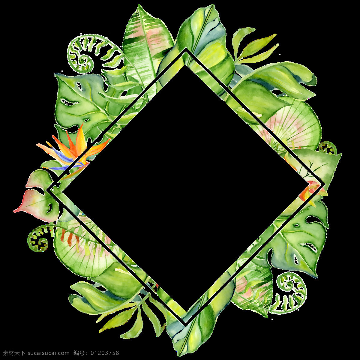 手绘 菱形 叶子 框 透明 逼真 鹤望兰 绿色 免扣素材 水彩 透明素材 香蕉叶 装饰图案