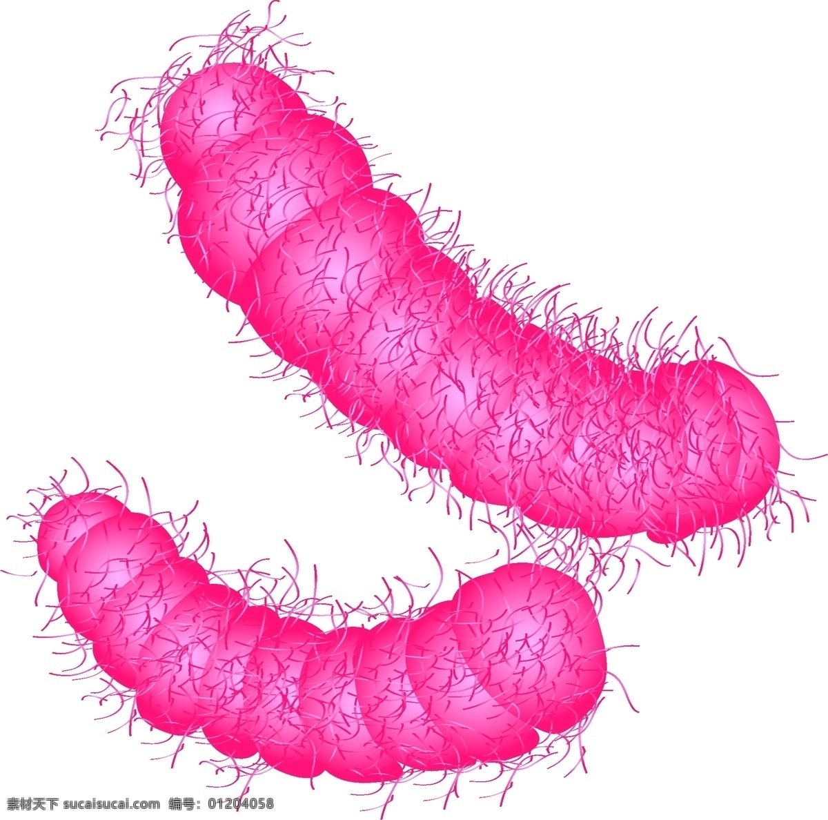 矢量 免 扣 粉色 细菌 立体细菌 卡通病毒 大肠杆菌 细菌病毒 微观世界 细胞 生物学 螨虫 微生物 科学研究