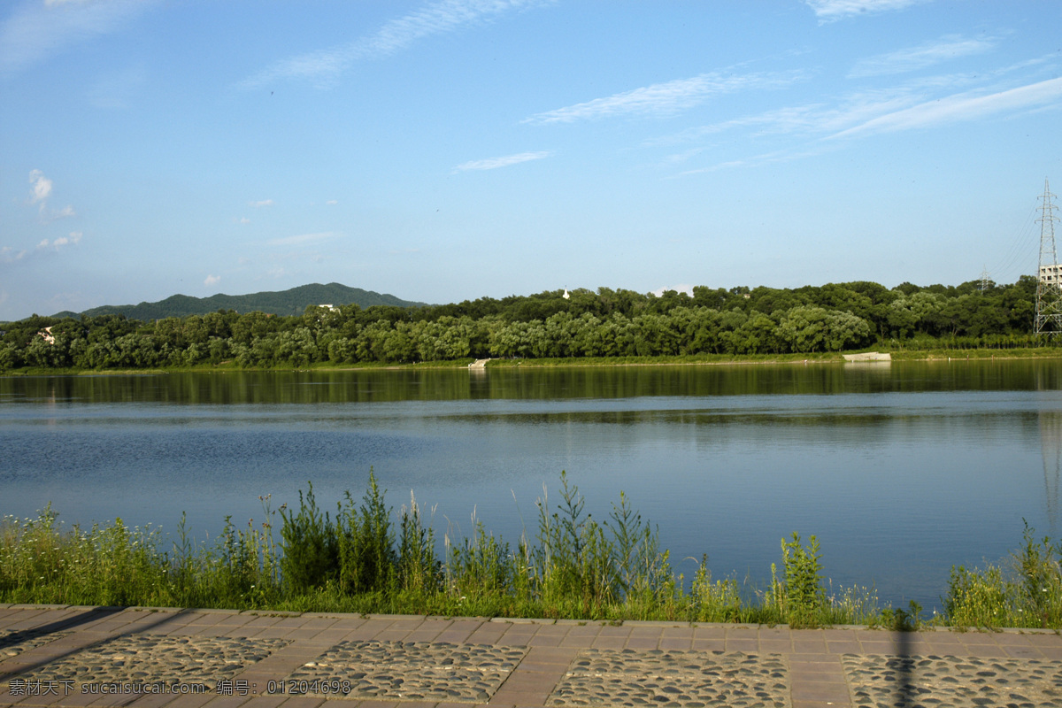 树免费下载 风景 山 山水风景 摄影图 树 植物 自然景观 水 家居装饰素材 山水风景画