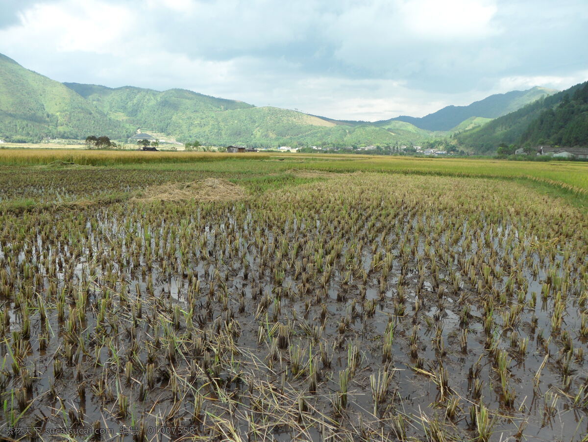 水稻田 腾冲 湿地 乡野 蓝天 白云山峰 广袤 田园风光 自然景观