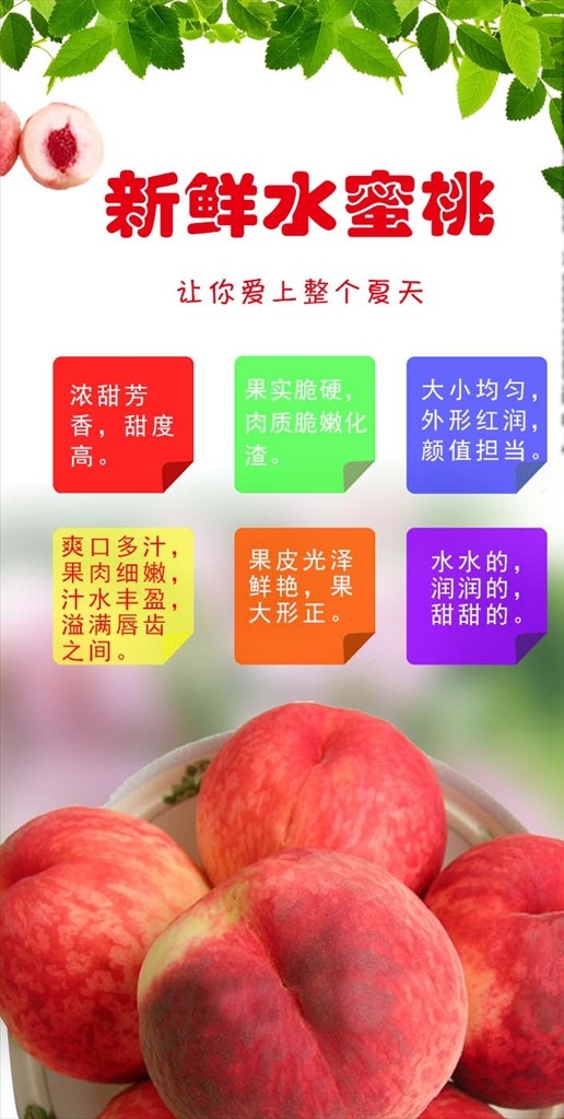 蜜桃 水蜜桃 水蜜桃海报 水蜜桃包装 桃子 成熟的水蜜桃 水蜜桃广告 水蜜桃种植 超市海报 水果批发 水果挂图 绿色水果 水蜜桃宣传 水蜜桃专卖 仙桃 水果店 水蜜桃节 桃子展板 蔬菜宣传 一篮桃子 淘宝 分层
