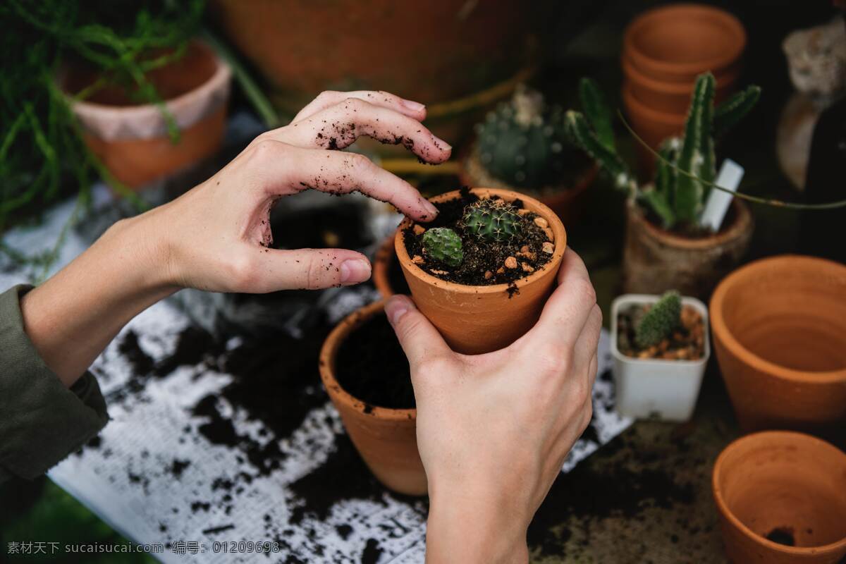 种植花草 种花 泥土 花盆 绿植 园丁 人物图库 职业人物