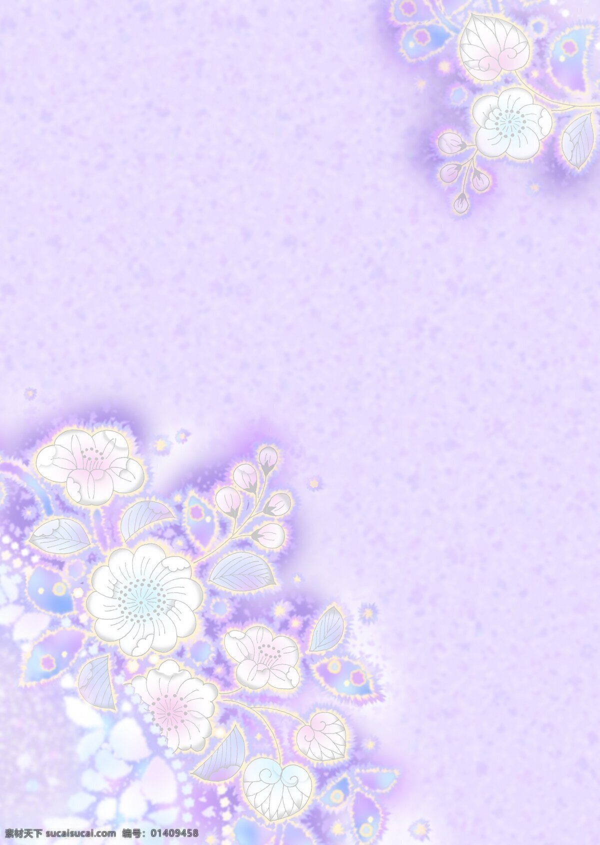 紫色 花朵 白色 背景图片