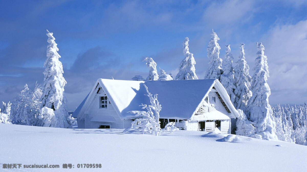 冬季 雪景 白色背景 冬季雪景 房屋 树木 松树 风景 生活 旅游餐饮