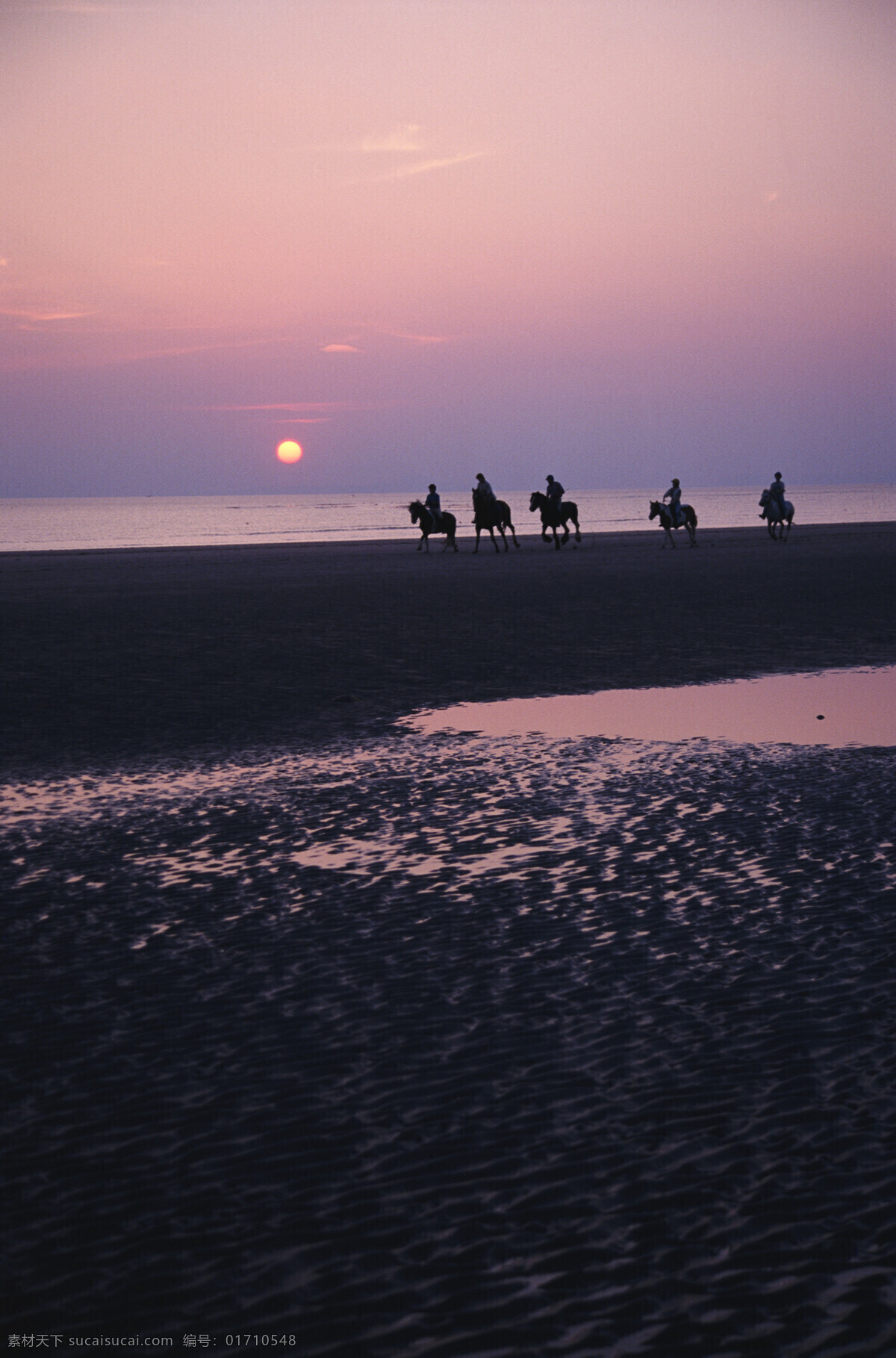 黄昏沙滩骑马 海边黄昏 骑马 海景 海水 自然景观 自然风景