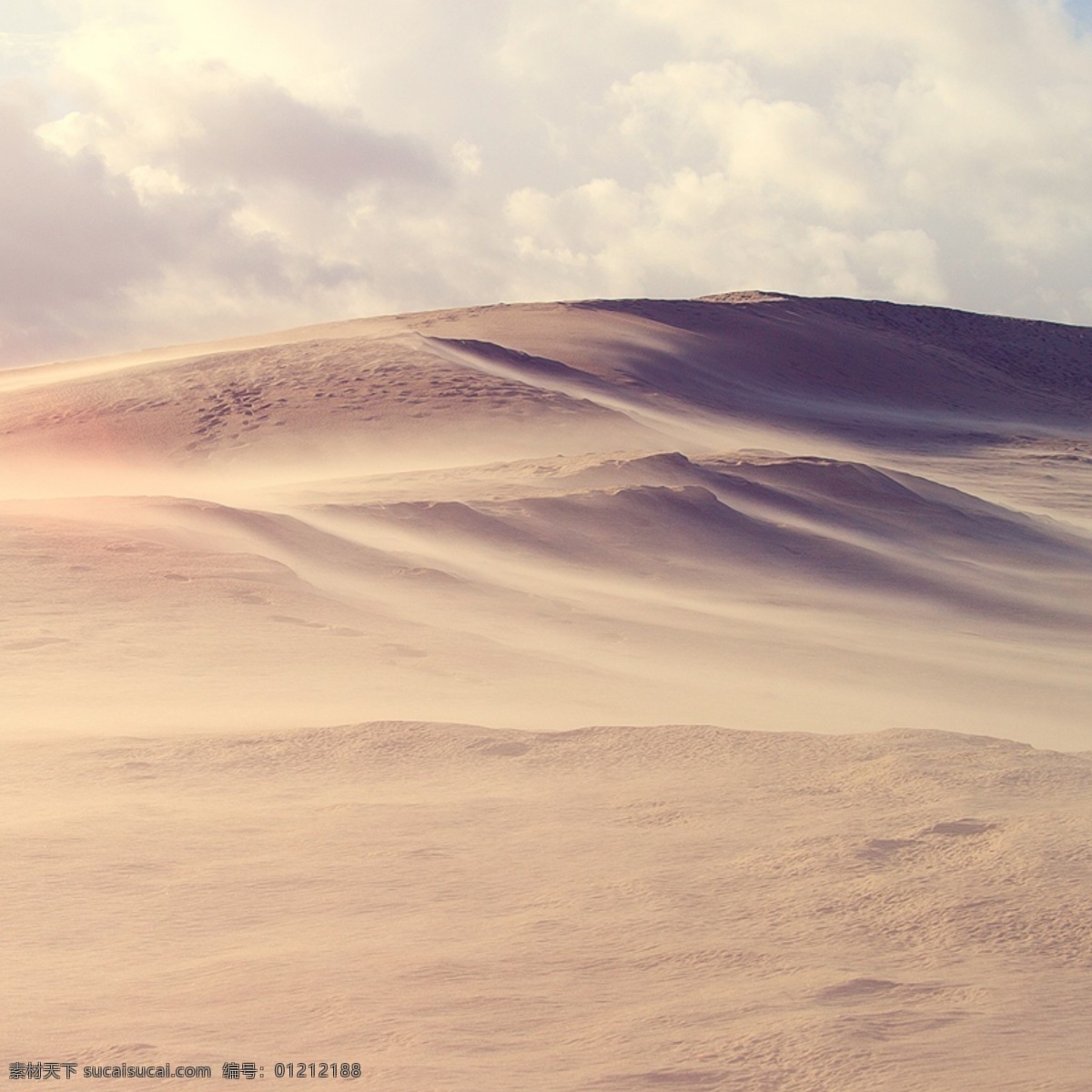 沙漠摄影首图 沙漠 大气 黄色