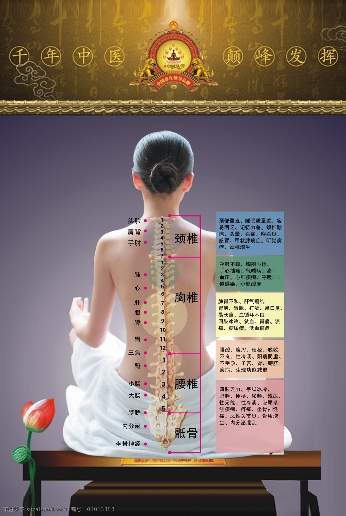 背部穴位图 穴位素材 穴位模板下载 穴位 养生 女人 中医 人体 其他人物 颈椎 腰椎 广告设计模板 源文件