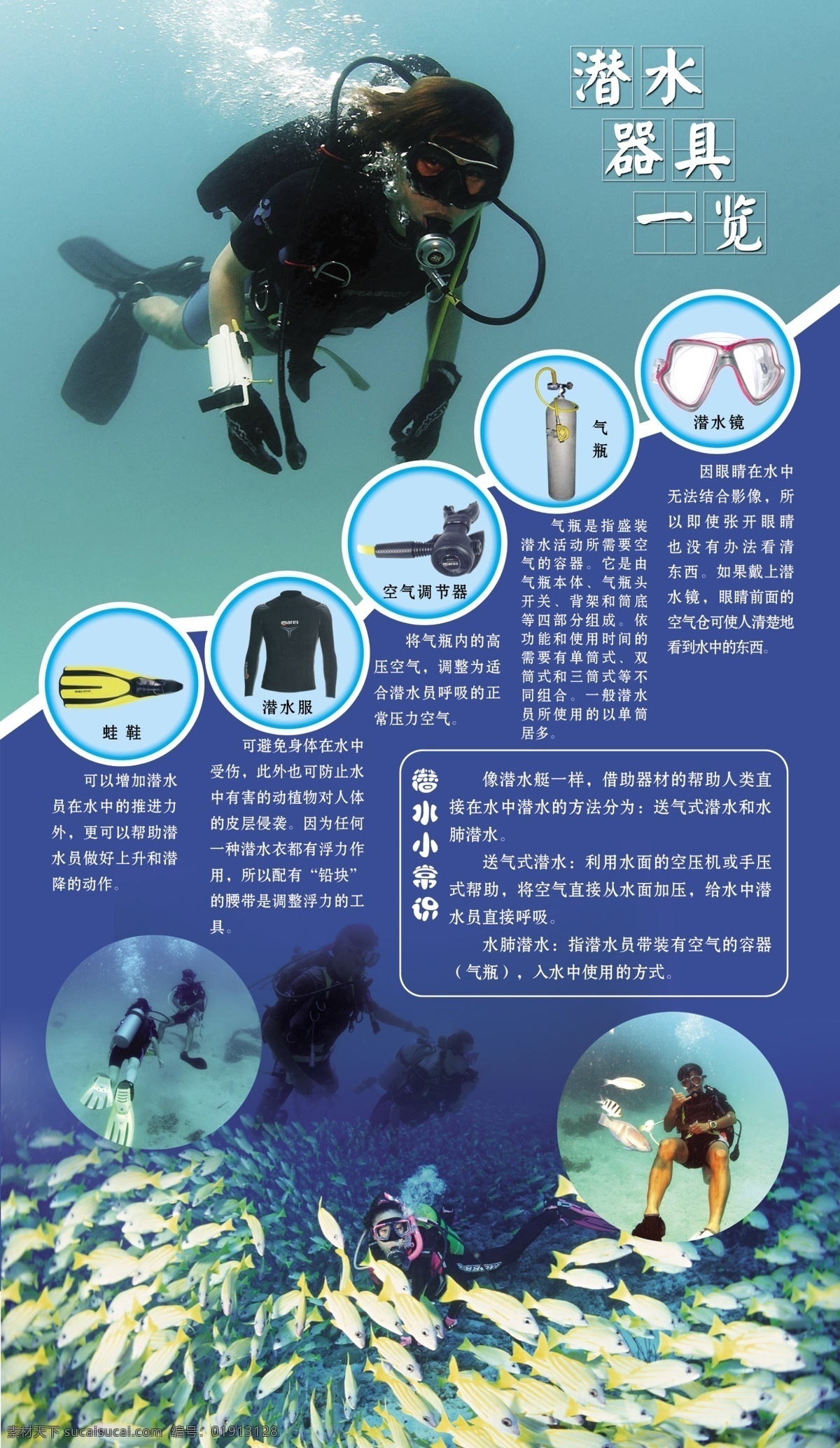 常识 岛屿 海底 海底世界 海洋 科普 潜水 氧气 游泳 鱼 潜水展架 潜水俱乐部 器具 一览表 潜水器具 呼吸器 鱼群 psd源文件