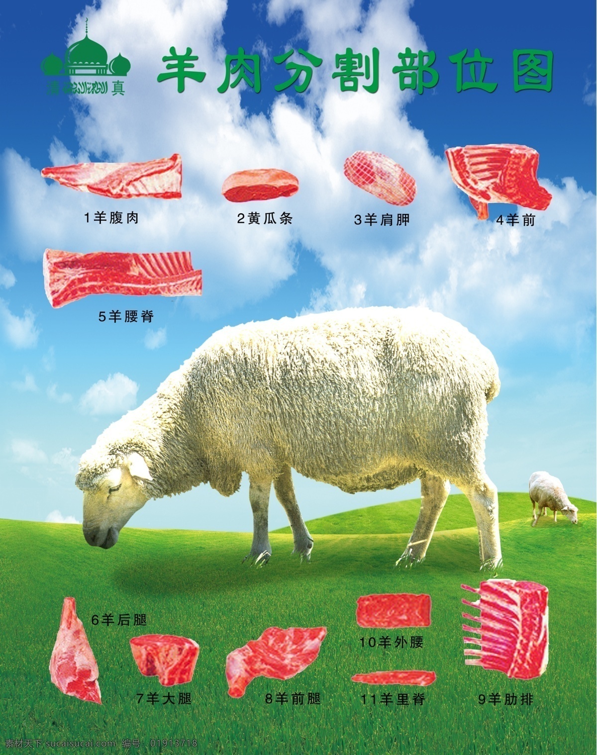 羊肉分割图 羊肉 分割图 部位图 背景图 展板 牛羊肉 绿色