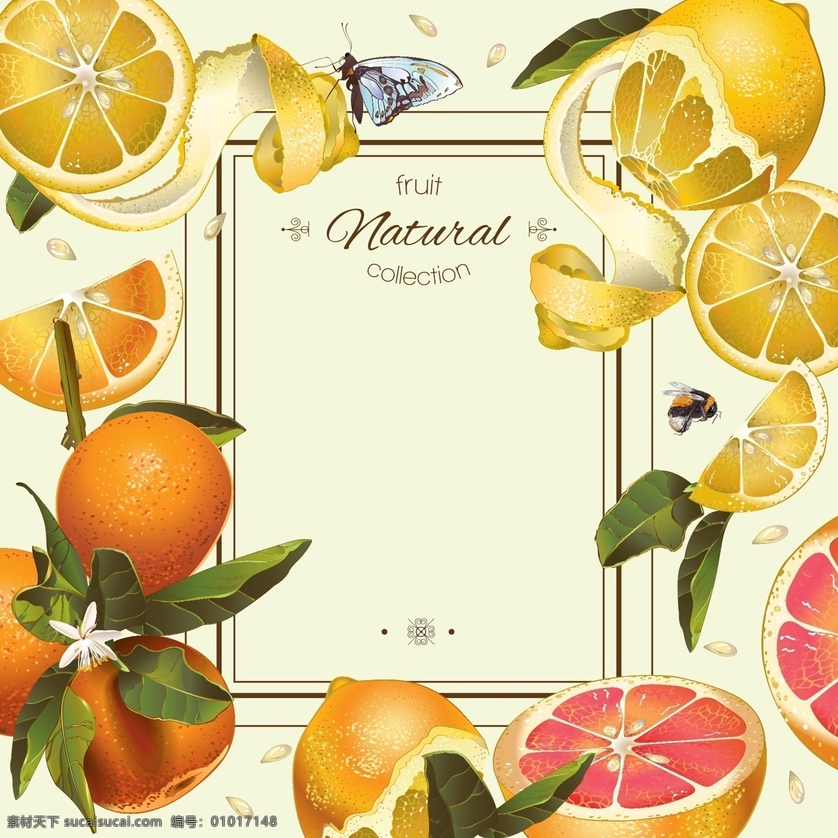 水果边框 水果 桔子 柠檬 边框