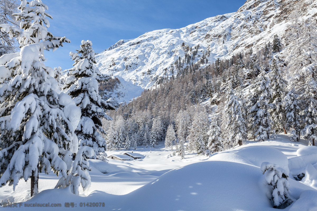 美丽 雪山 雪峰 冬天 冬日 大雪 覆盖雪山 山峰 蓝天白云 厚雪 阳光 光线 自然风景 美丽风景 山水风景 风景图片